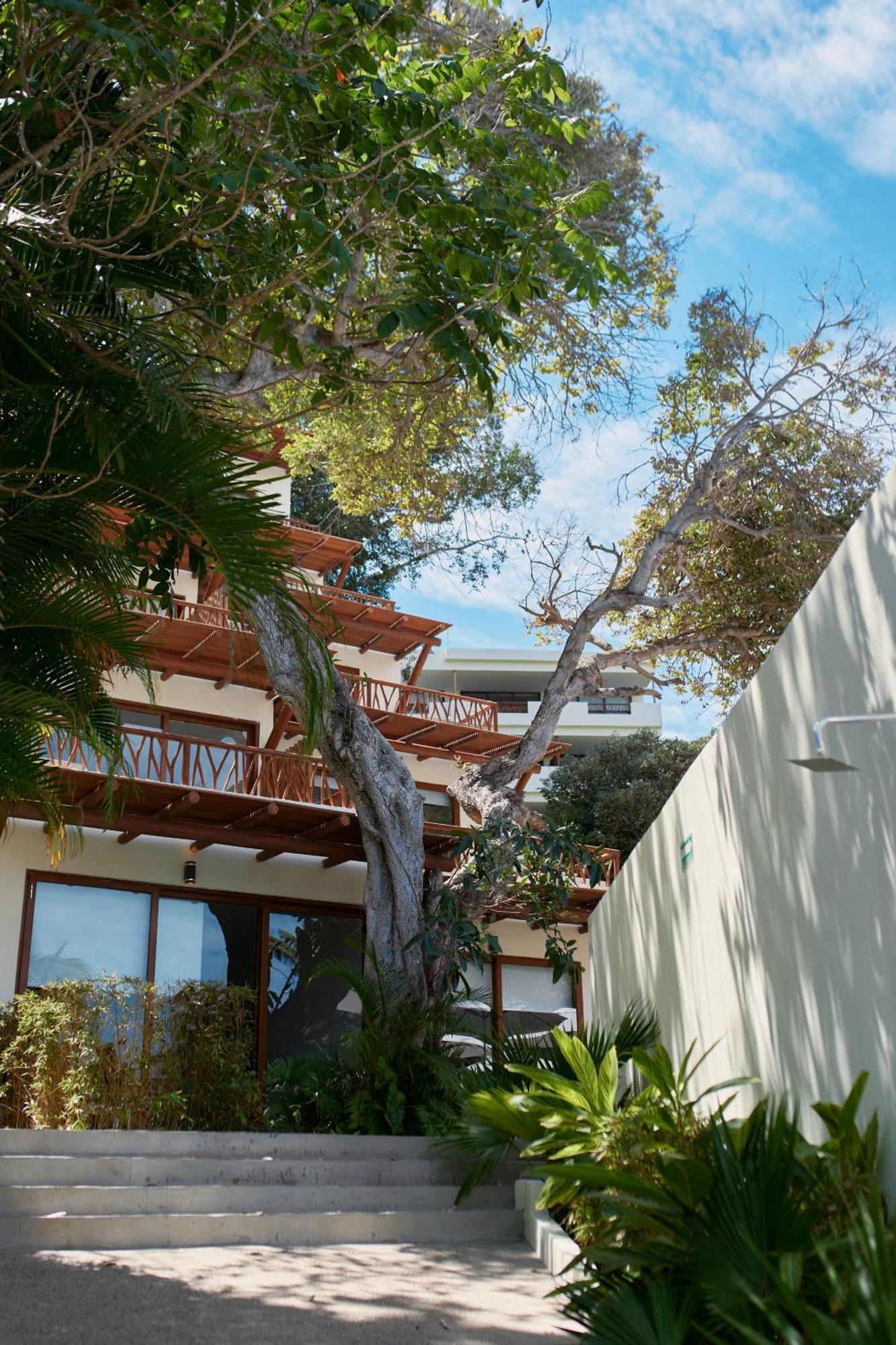 Ysuri Sayulita - Beachfront Hotel Exteriör bild